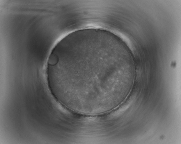 X0000103951373200809191431