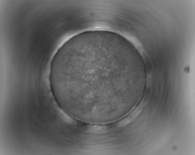 X0000103951374200809191431