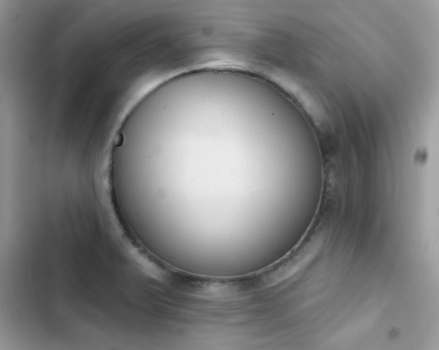 X0000103951375200809191431