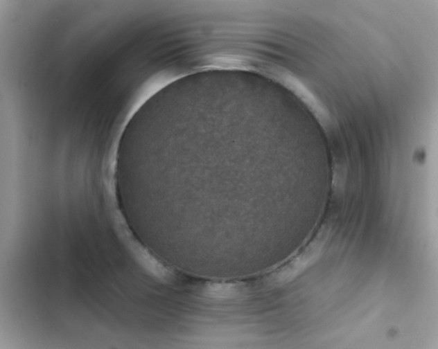 X0000103951378200809191431
