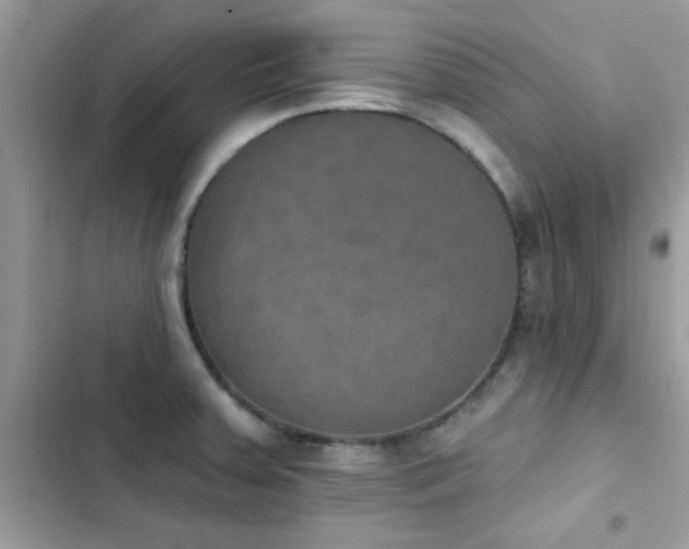 X0000103951379200809191431