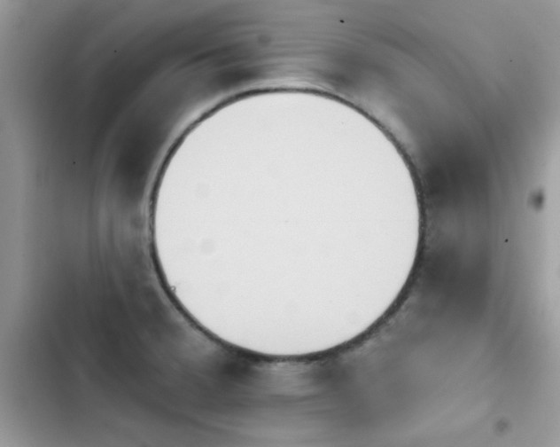 X0000103951380200809191431