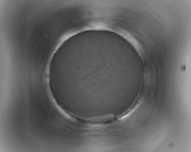 X0000103951382200809191431