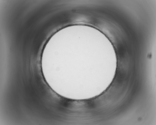 X0000103951384200809191431