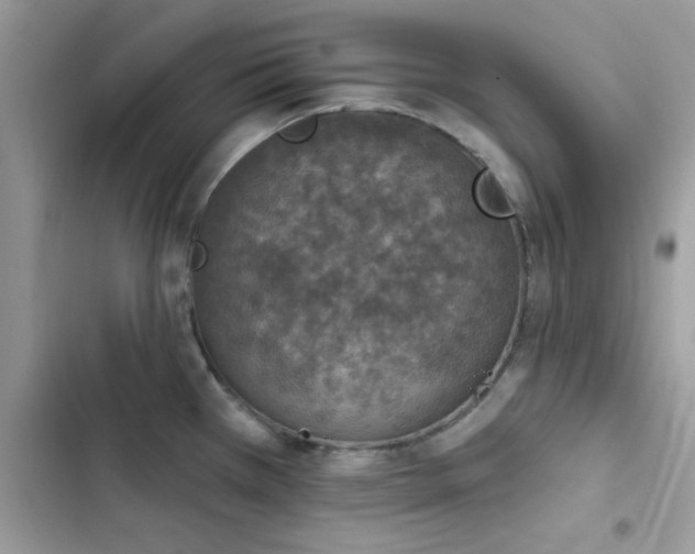 X0000103951385200809191431