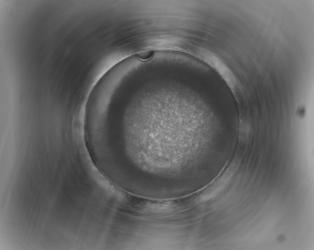 X0000103951386200809191430