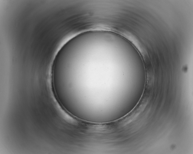 X0000103951387200809191430