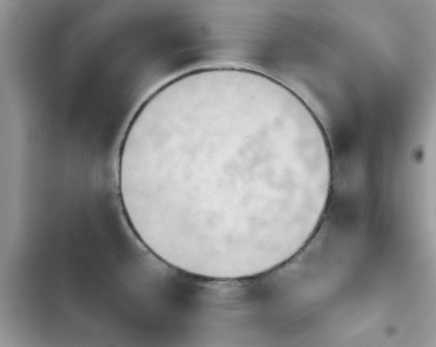 X0000103951388200809191430