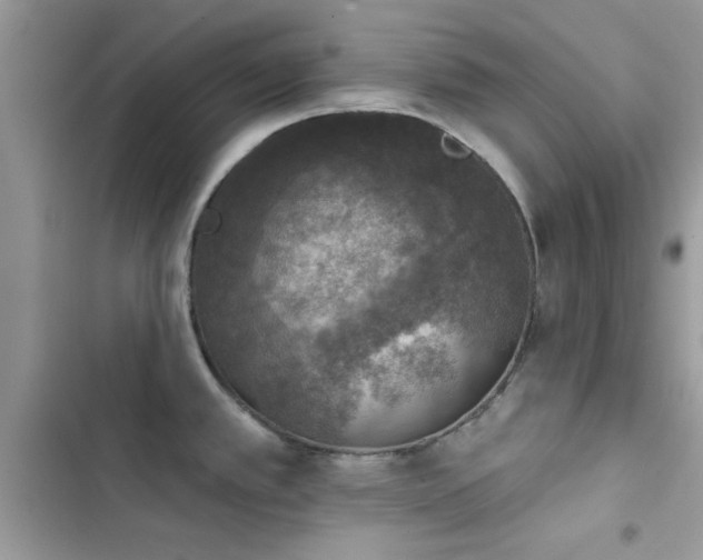 X0000103951389200809191430