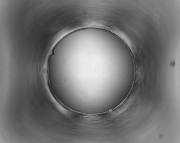 X0000103951391200809191430