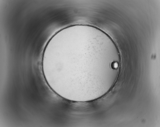X0000103951392200809191430