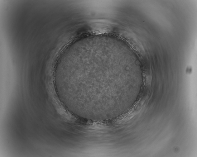 X0000103951393200809191430
