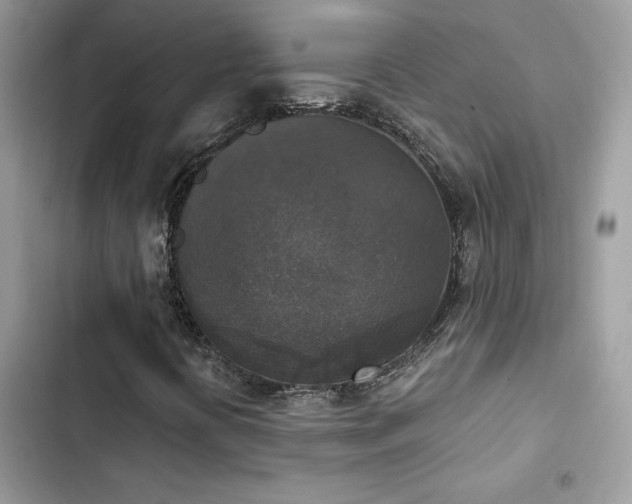 X0000103951394200809191430