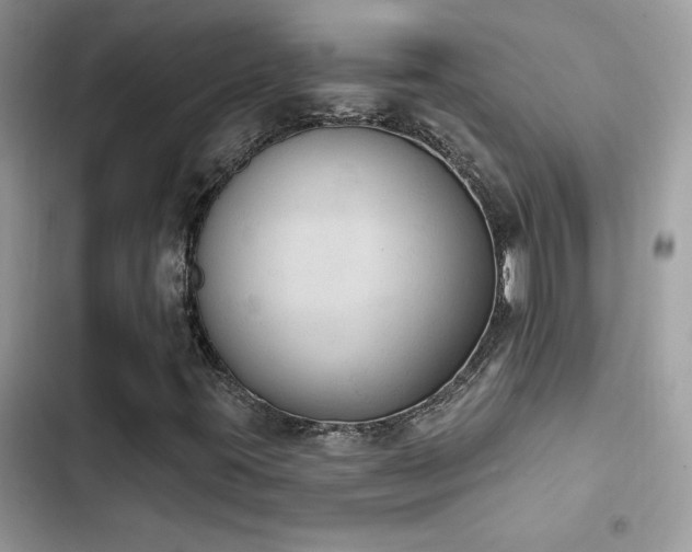 X0000103951395200809191430
