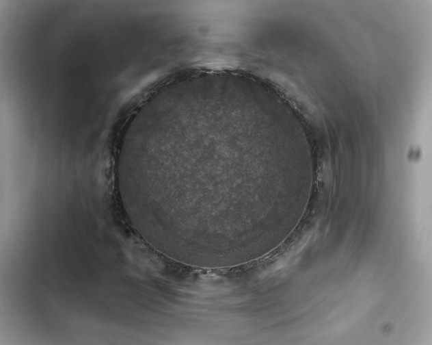 X0000103951398200809191430