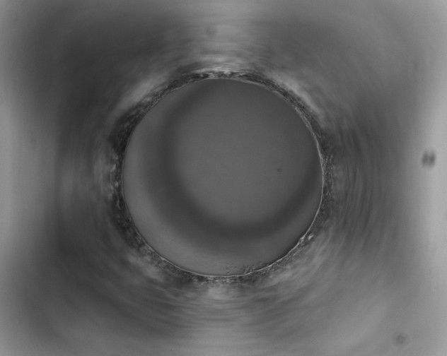 X0000103951399200809191430