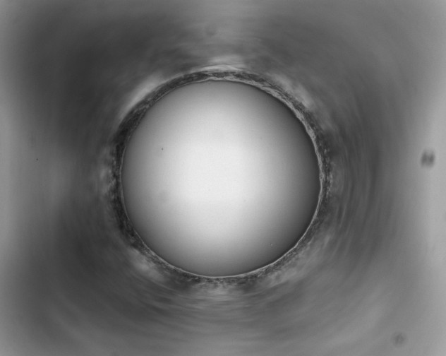 X0000103951400200809191430
