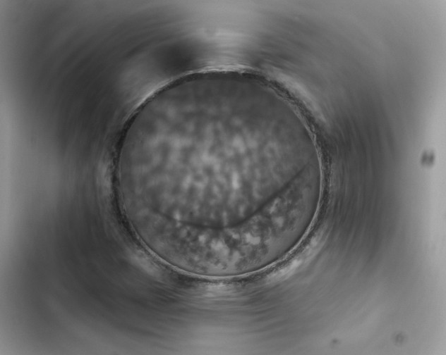 X0000103951401200809191430