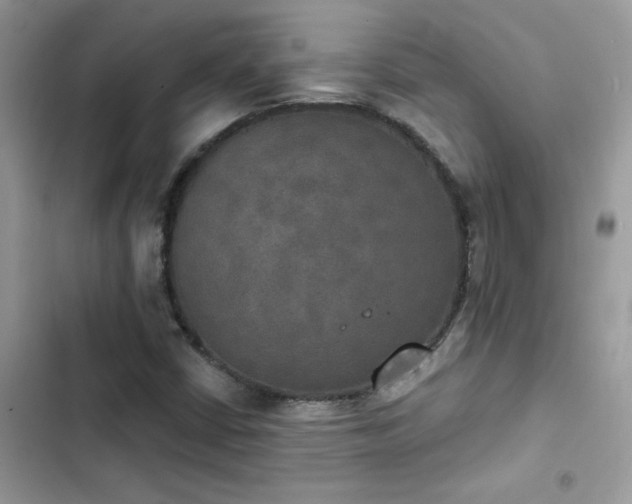 X0000103951402200809191430