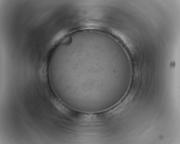 X0000103951403200809191430