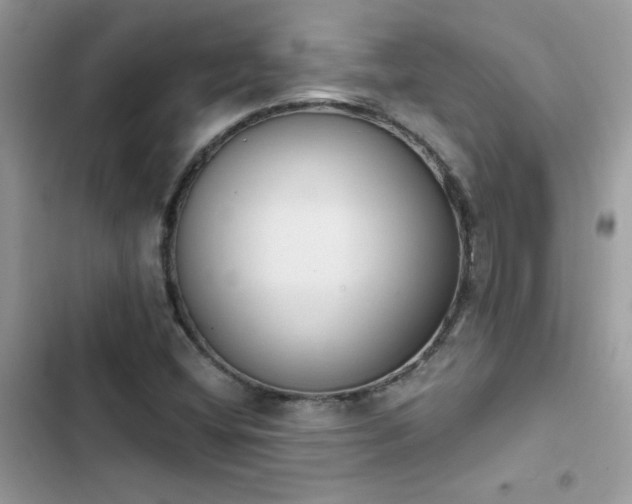 X0000103951404200809191430