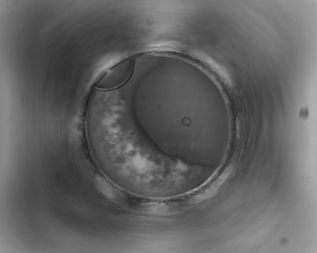 X0000103951405200809191430