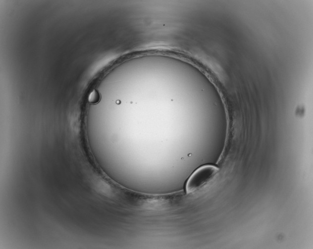 X0000103951406200809191430