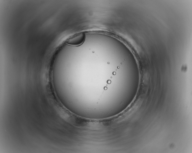X0000103951407200809191430