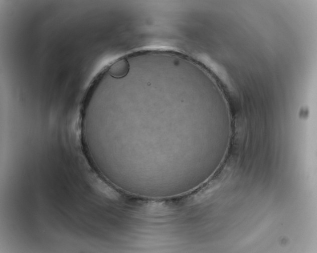 X0000103951408200809191430