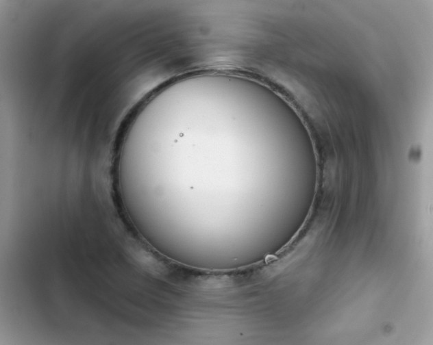 X0000103951410200809191430