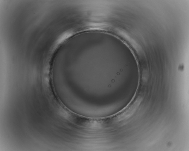 X0000103951411200809191430