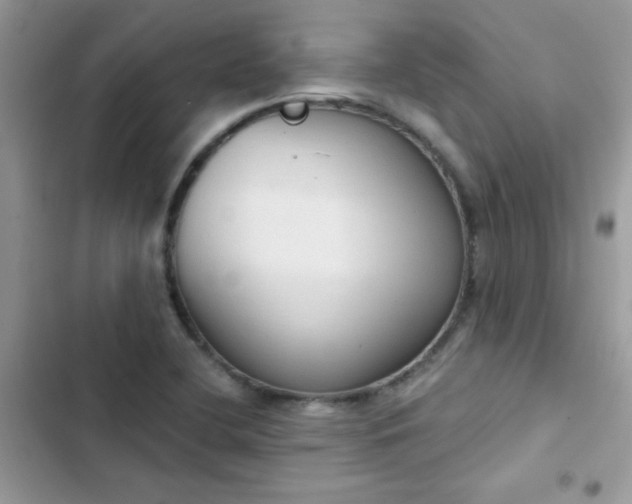 X0000103951412200809191430