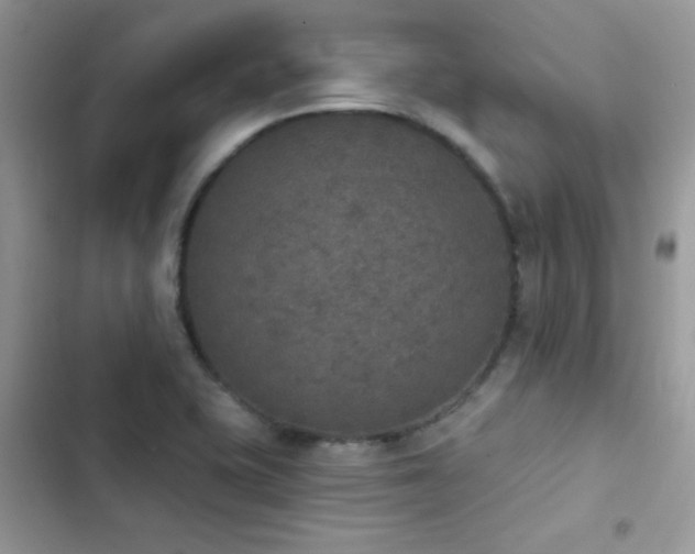X0000103951415200809191430