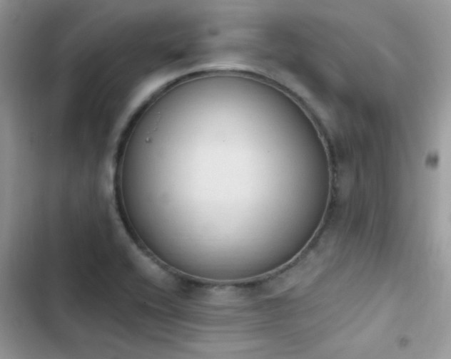X0000103951416200809191430
