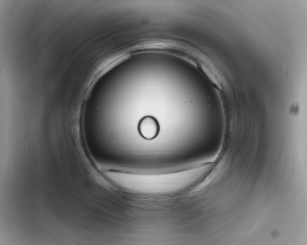 X0000103951417200809191430