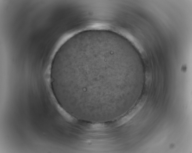 X0000103951421200809191430