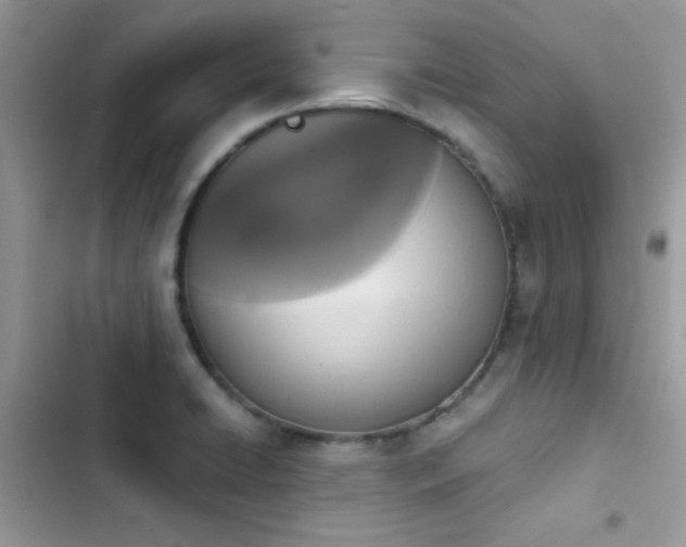X0000103951422200809191430