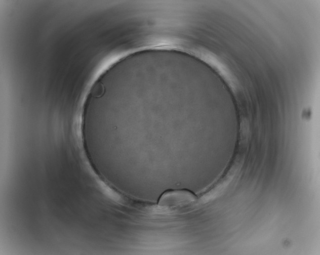 X0000103951424200809191430