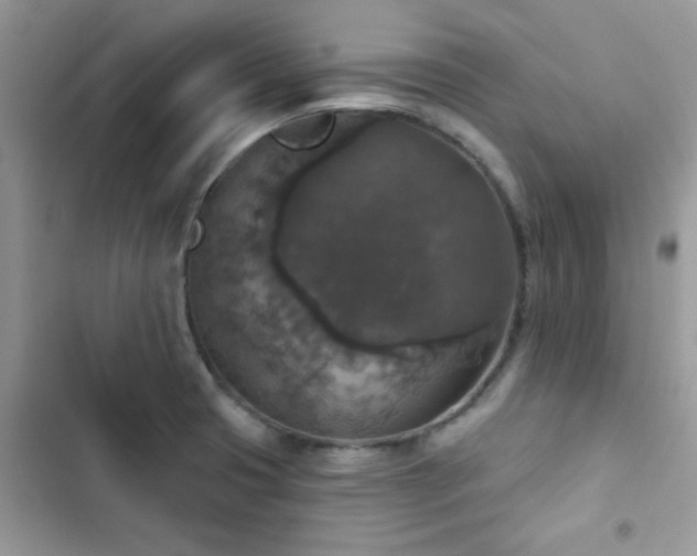 X0000103951425200809191430