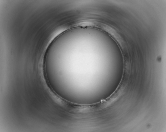 X0000103951426200809191430