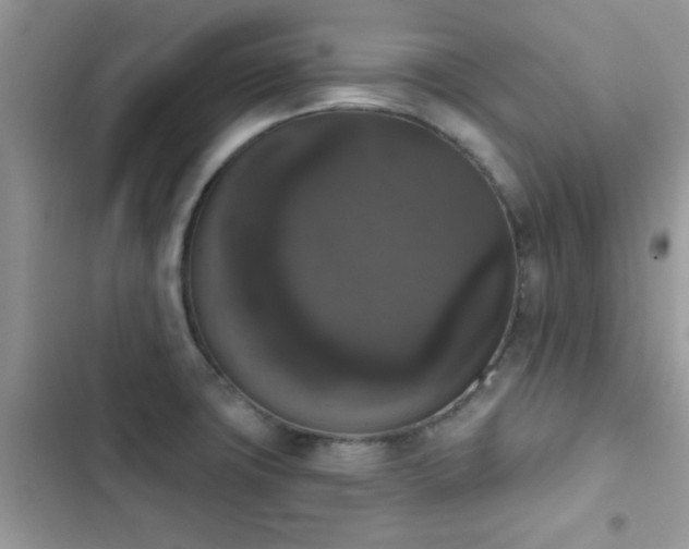 X0000103951427200809191430