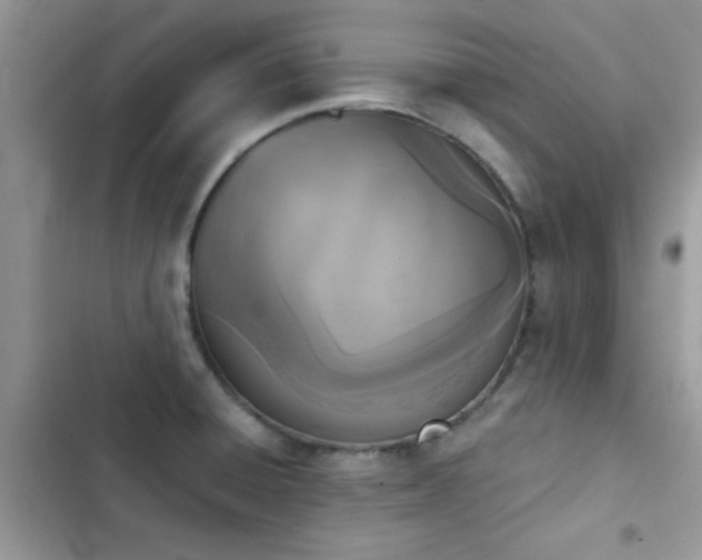 X0000103951428200809191430