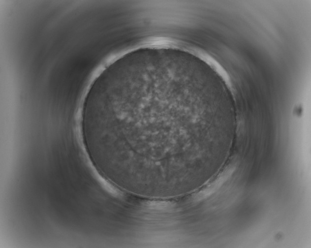 X0000103951429200809191430