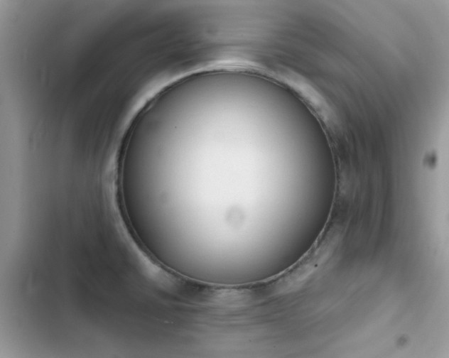 X0000103951430200809191430