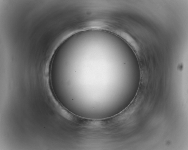 X0000103951431200809191430
