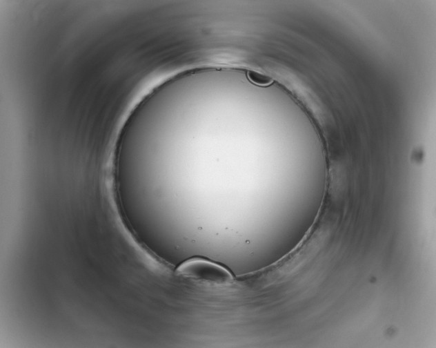 X0000103951432200809191430