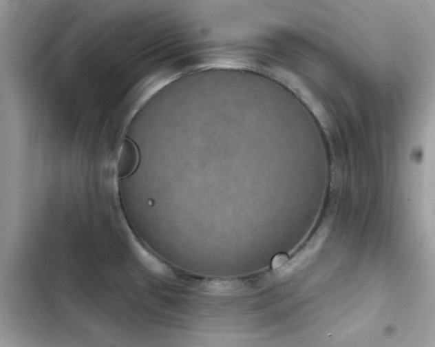 X0000103951433200809191430