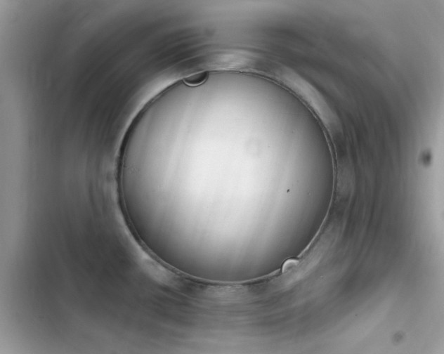 X0000103951434200809191430