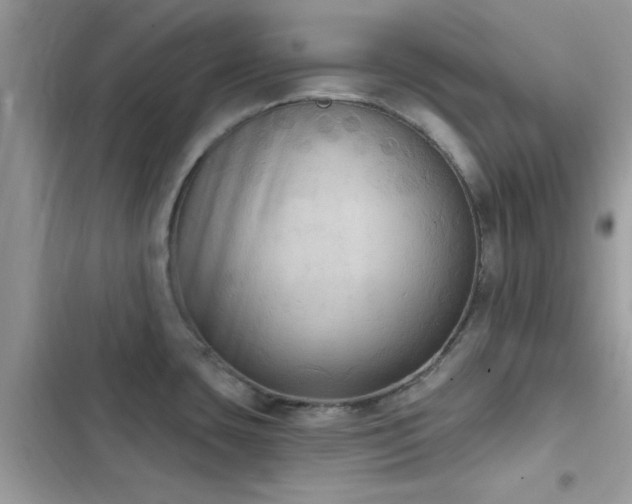X0000103951435200809191430