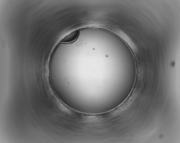X0000103951436200809191430